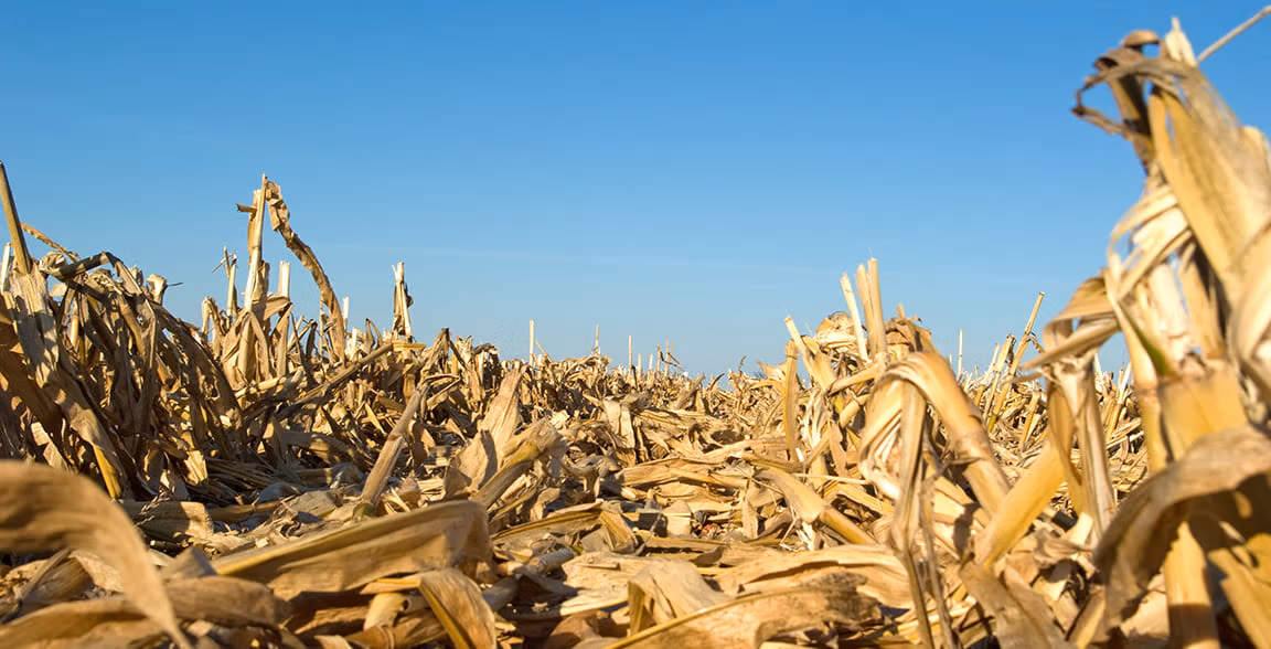 Supply chain shake-up sparks innovation revolution