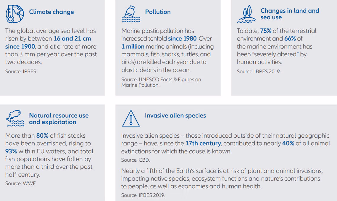 Biodiversity loss in numbers table