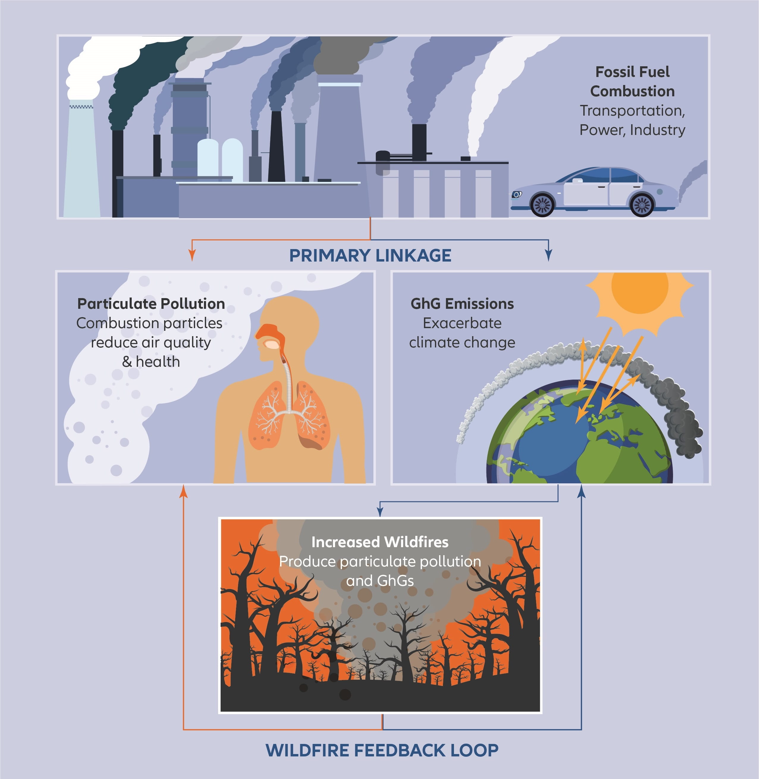 Tackling Air Pollution With Sustainable Investments   The Vicious Circle Of Air Pollution 